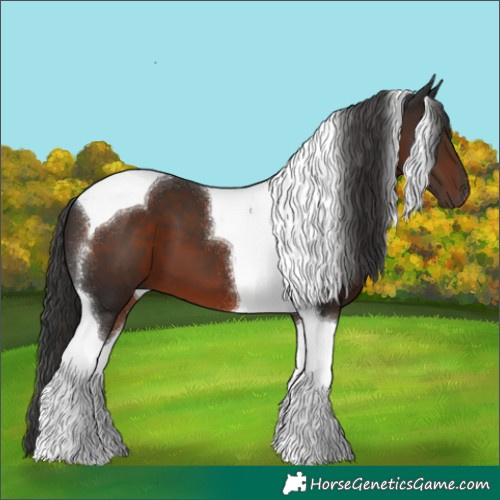 Horse Color:Liver Chestnut Tobiano 