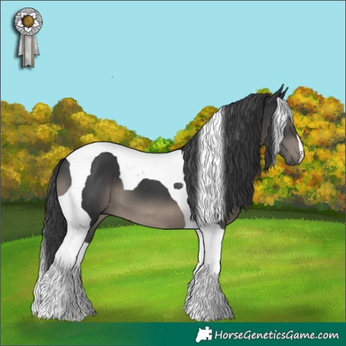 Horse Color:Black Tobiano 