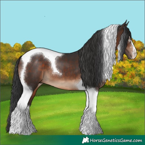Horse Color:Brown Tobiano 