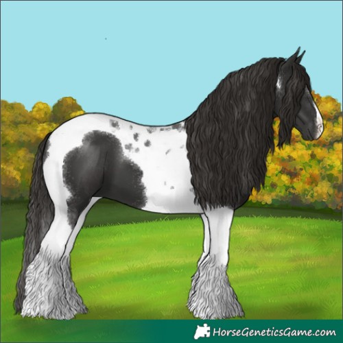 Horse Color:Liver Chestnut Tobiano 
