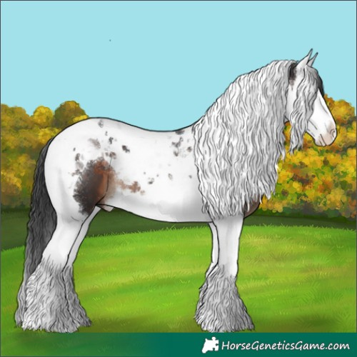 Horse Color:Brown Splash Tobiano 