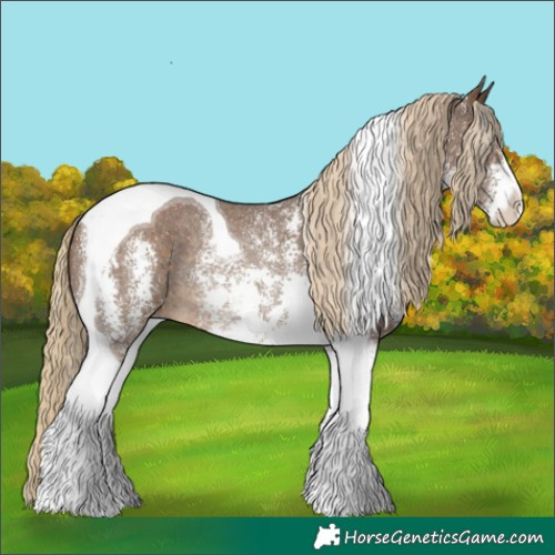Horse Color:Chocolate Palomino Sabino Tobiano Rabicano 