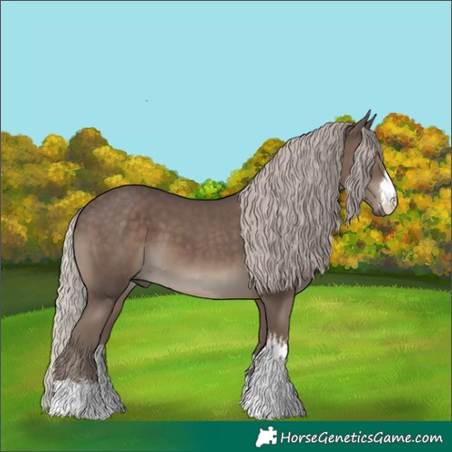 Horse Color:White Spotted Silver Black