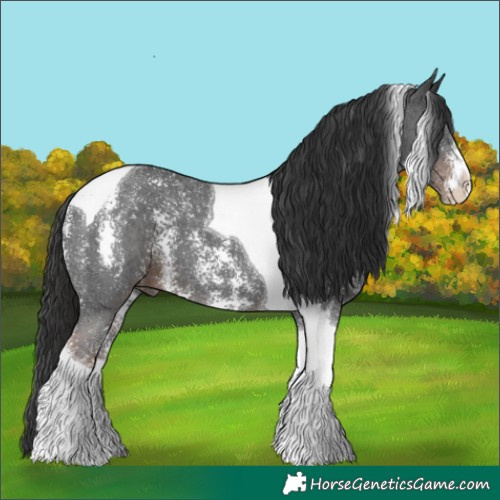 Horse Color:Liver Chestnut Sabino Tobiano 