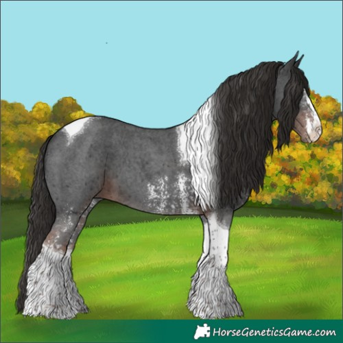 Horse Color:Liver Chestnut Sabino Tobiano 