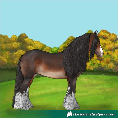 Horse Color:White Spotted Brown 