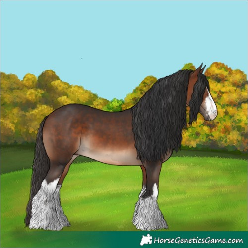 Horse Color:White Spotted Brown 