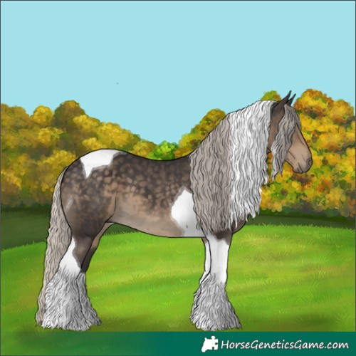 Horse Color:Silver Smoky Black Tobiano 