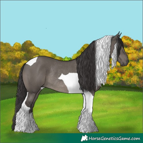 Horse Color:Smoky Grullo Tobiano Rabicano 