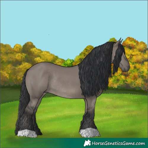 Horse Color:Grullo Rabicano 
