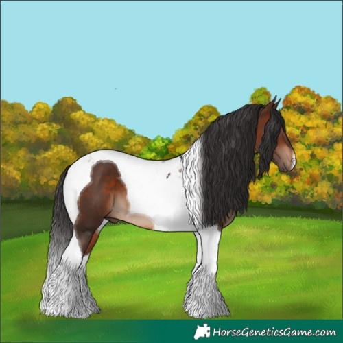 Horse Color:Brown Tobiano 