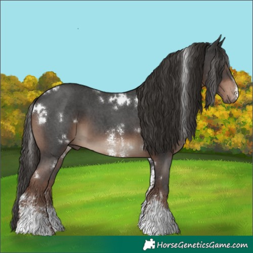 Horse Color:White Spotted Liver Chestnut Sabino 