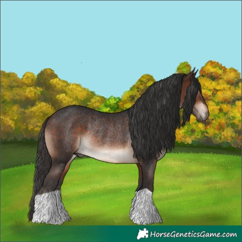 Horse Color:Brown Rabicano 