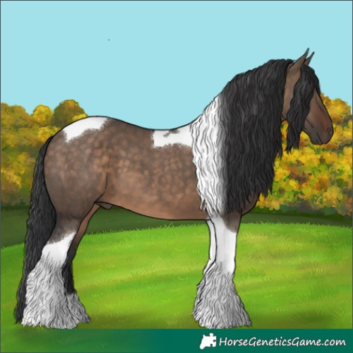 Horse Color:Brown Dun Tobiano 