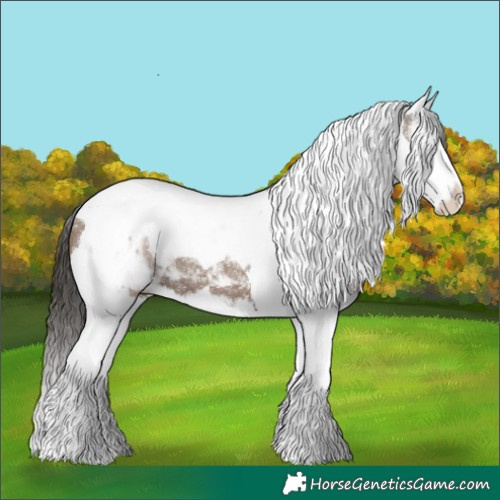 Horse Color:Liver Red Dun Splash Tobiano 