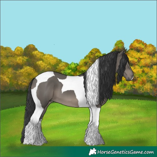 Horse Color:Grullo Tobiano 