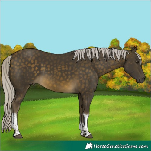 Horse Color:Silver Buckskin Tobiano 