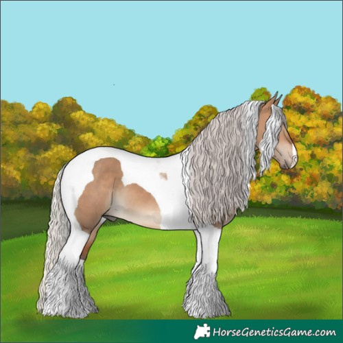 Horse Color:Silver Brown Dun Tobiano