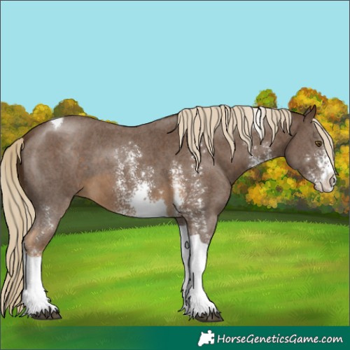 Horse Color:Chocolate Palomino Sabino Tobiano 