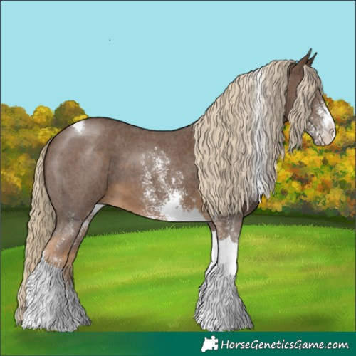 Horse Color:Chocolate Palomino Sabino Tobiano 