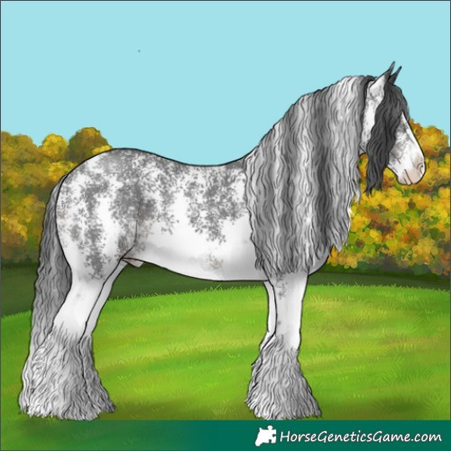 Horse Color:Black Sabino 