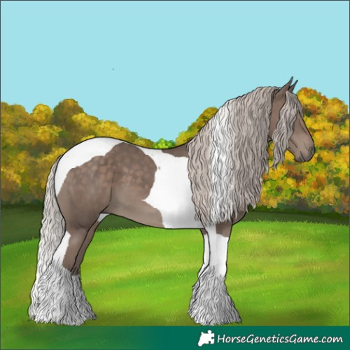 Horse Color:Silver Black Tobiano 