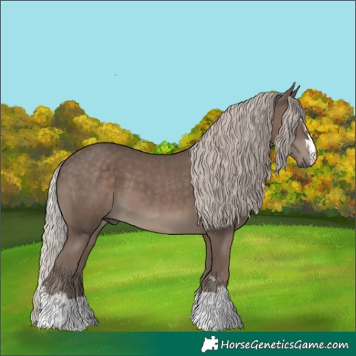 Horse Color:Silver Black 