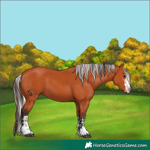 Horse Color:Bay  and Silver Bay 