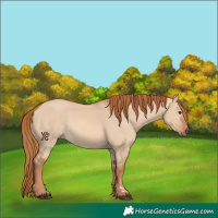 Horse Color:Red Dun 