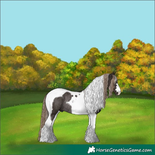 Horse Color:Liver Chestnut Tobiano Rabicano 