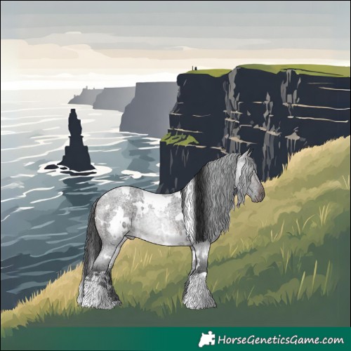 Horse Color:White Spotted Brown Roan
