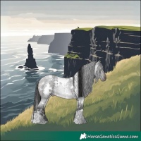 Horse Color:White Spotted Brown Roan 