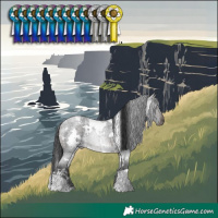 Horse Color:White Spotted Brown Roan