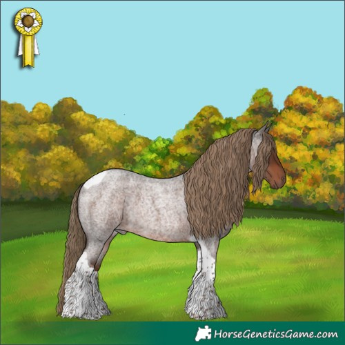 Horse Color:Liver Red Roan Tobiano Rabicano 
