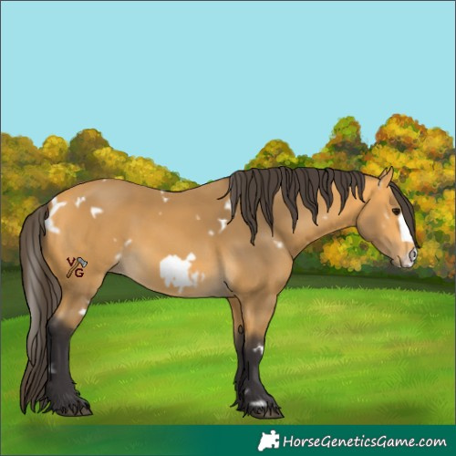 Horse Color:Unknown