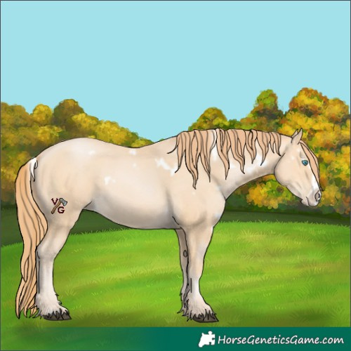 Horse Color:White Spotted Buckskin Frame