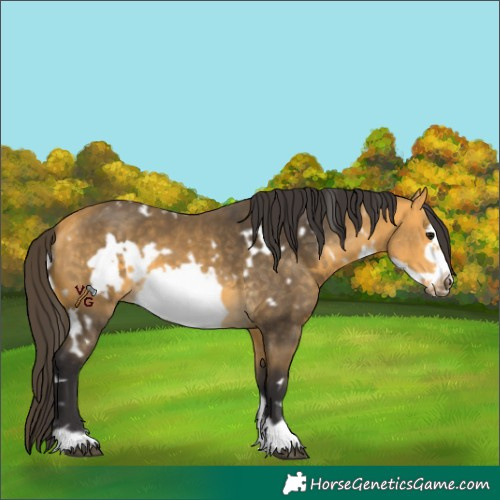 Horse Color:Unknown
