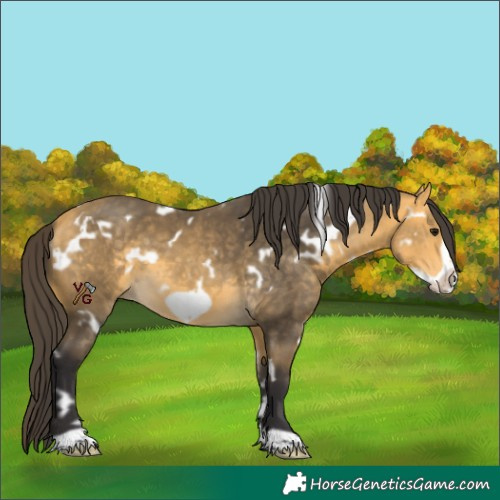 Horse Color:Unknown 