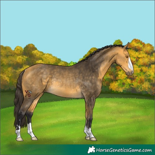 Horse Color:Unknown 
