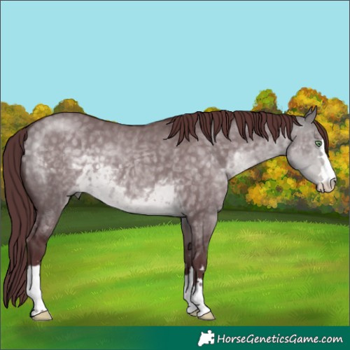 Horse Color:Platinum Chocolate Buckskin Dun 