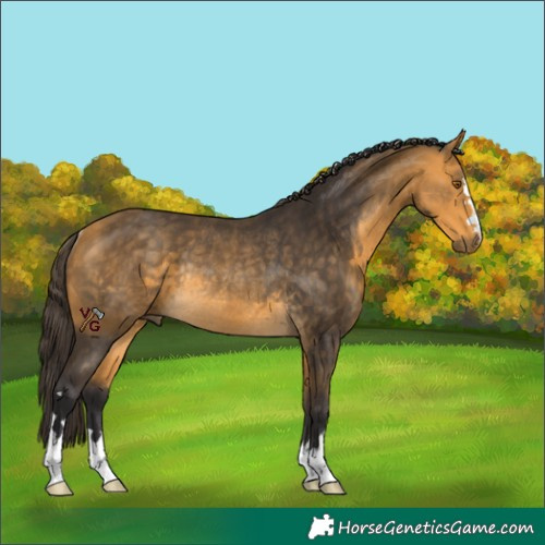 Horse Color:Unknown 