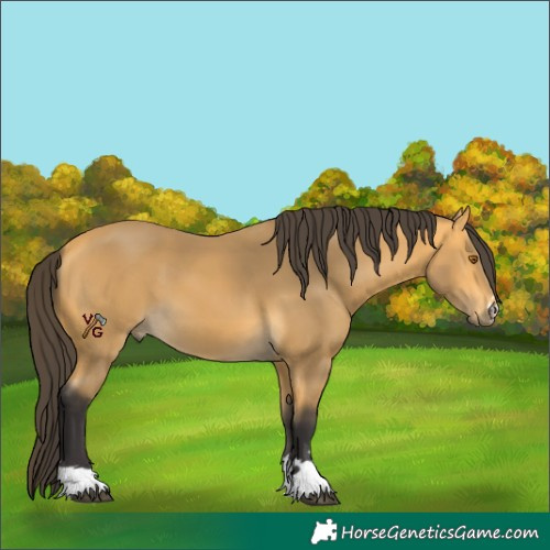 Horse Color:Unknown 