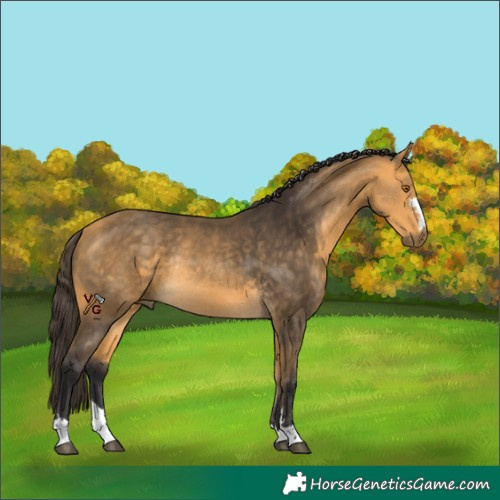 Horse Color:Unknown 
