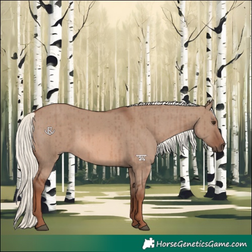 Horse Color:Red Dun Mushroom Brindle 