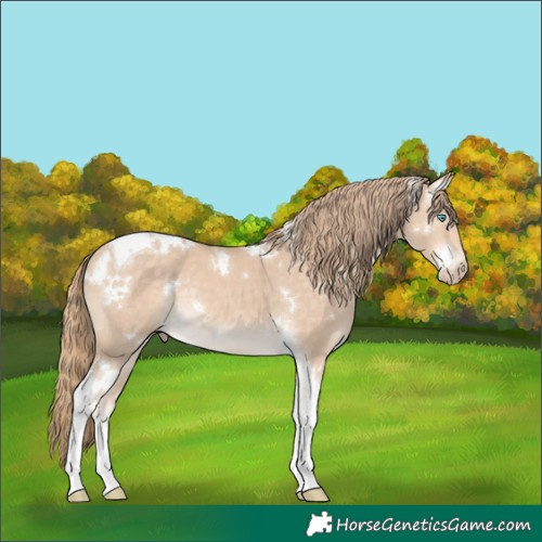 Horse Color:White Spotted Perlino Tobiano Rabicano