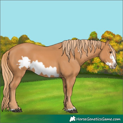 Horse Color:Chestnut Frame