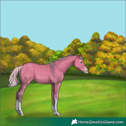 Horse Color:Gray Watercolor Silver Sable Champagne Dun Sabino Tobiano 