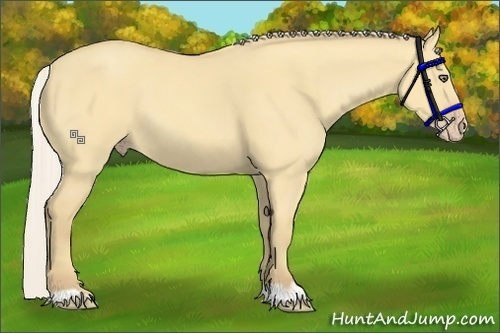 Horse Color:Silver Amber Cream Champagne Dun 