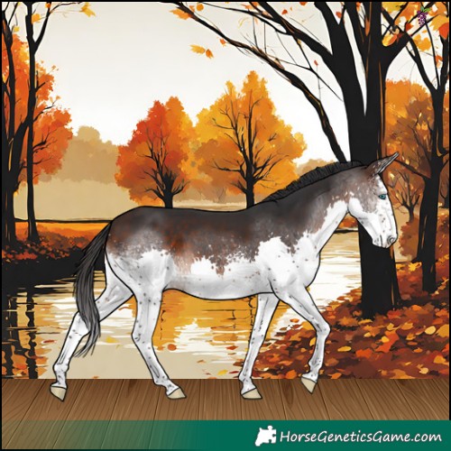 Horse Color:White Spotted Brown Splash 