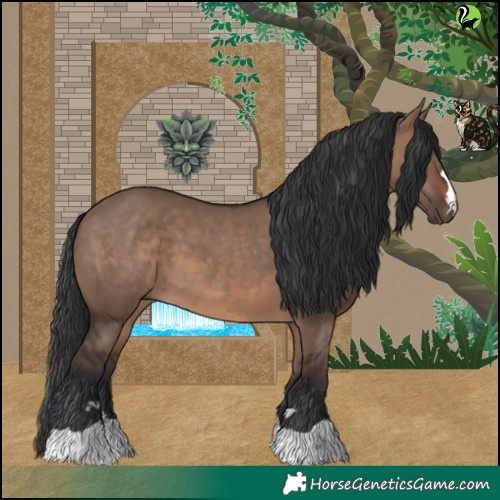 Horse Color:Brown Dun 
